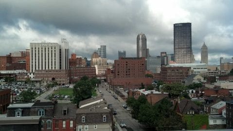 View from the rooftop garden