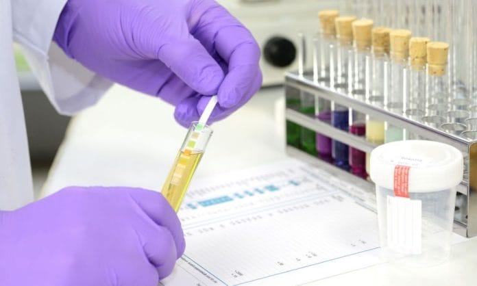 Common Misconceptions About Drug Testing