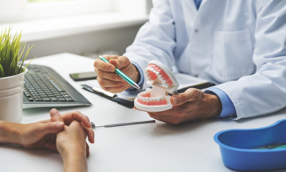 Two people sitting across from each other at a desk. One is wearing a white coat and pointing to a model of teeth.